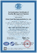 الصين China Chips Star Semiconductor Co., Ltd. الشهادات